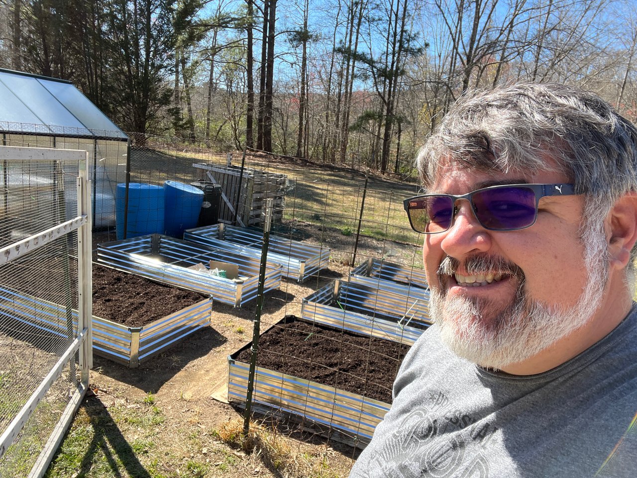 Planting Strawberries in the Raised Garden
