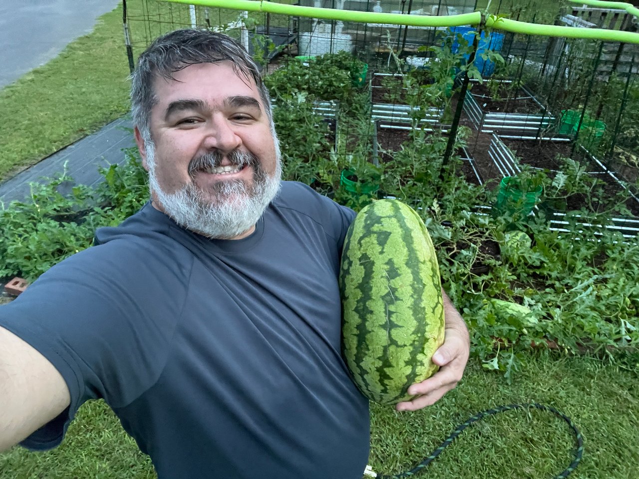 First Watermelon from the Run-A-Muck Garden! More on the Way!